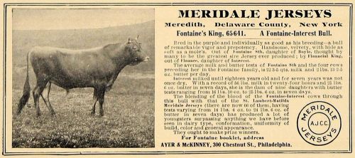 1907 ad meridale jerseys fontaine&#039;s king ayer mckinney - original cl4 for sale