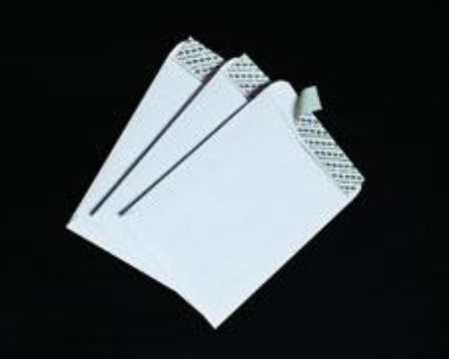 Quality Park Envelope Redi-Strip 100 Count 10&#039;&#039; x 13&#039;&#039; 28 White