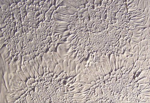 Wooster Swirl Texture Brush for Wall and Ceiling