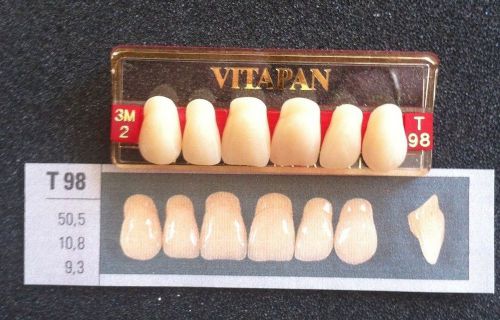 Vitapan Denture Teeth    T98    3M2