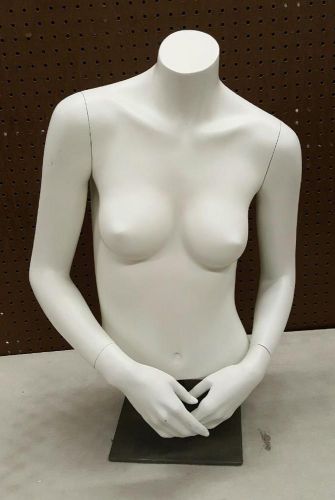 Lifestyle Mannequin Torsos Brand New in Box