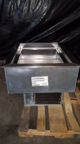 Wells Manufacturing 22450 Refrigerated Two Pan Drop-In Cold Well