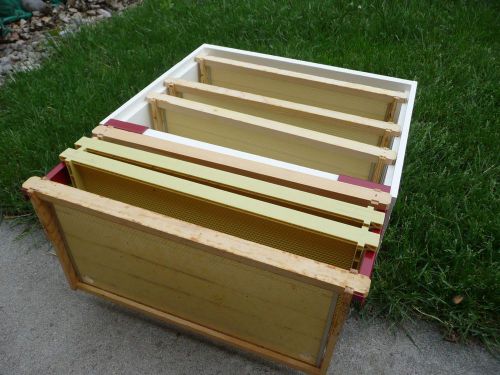 Bee Frame Holder Hive Perch Beekeeping Caddy, 5 Frame, Made in &amp; Ships Free USA