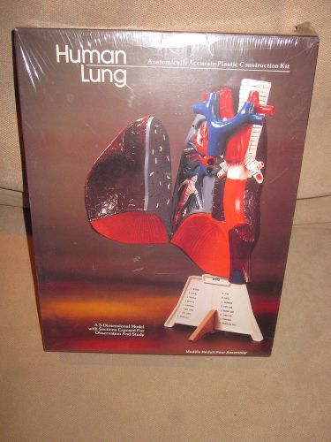 Lindberg Human Lung Model Anatomically Accurate Construction 3D Kit - Sealed