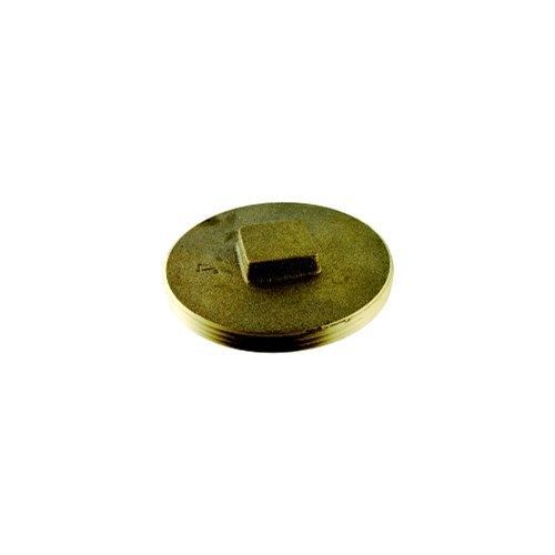 Park Supply of America P50400 Brass Cleanout Plug