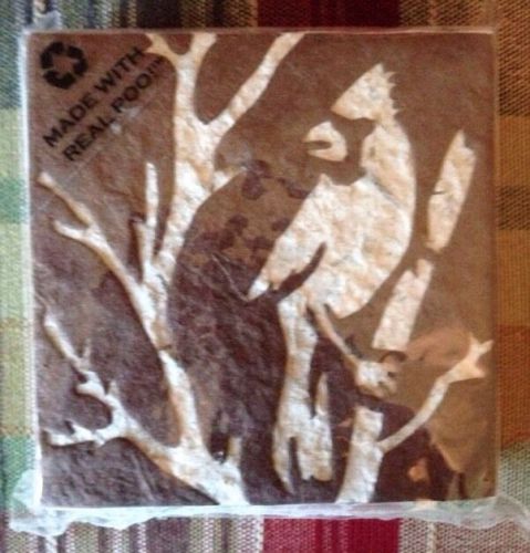 PooPoo Paper Cardinal Scratch Pad - Made of Recycled Elephant Poo