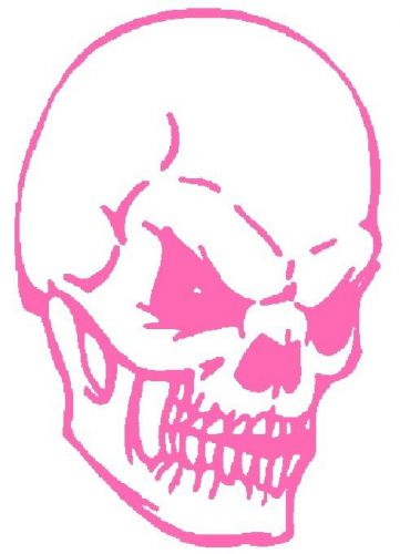 30 Custom Pink Skull Personalized Address Labels