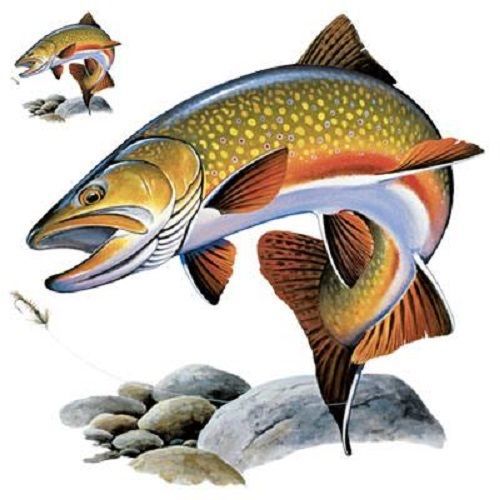 Brooke Trout HEAT PRESS TRANSFER for T Shirt Tote Sweatshirt Quilt Fabric #249o