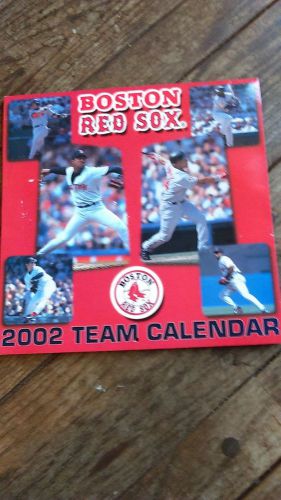Boston Redsox 2002 Team Monthly Wall Calendar
