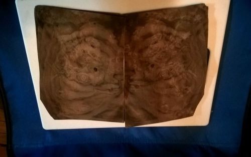 15@ 5 1/2&#034;x 8 1/2&#034; Nicely figured walnut burl wood veneer inlay marquetry
