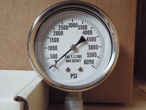 0-6000PSI 4&#034; All Stainless Lower Mount Dry But Fillable Pressure Gauge