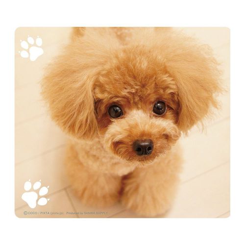 Animal Mouse Pad Dog Teacup poodle Smoo Zoo