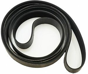 70276201P Generic Belt
