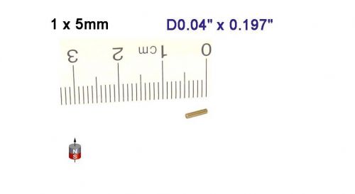 100 pcs of N52 Neodymium Cylinder Magnets D1 x 5mm