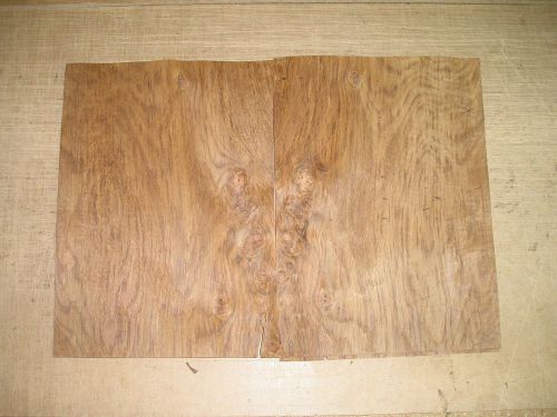 English Brown Oak Burl Veneer. 9.5 x 14, 12 Sheets.