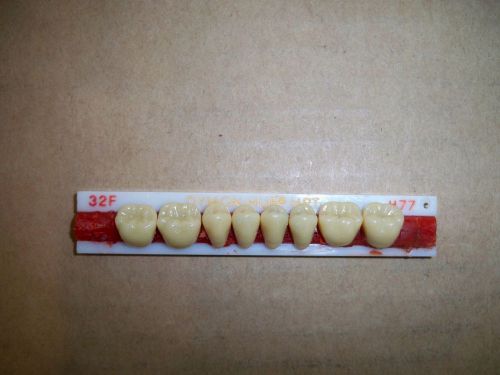 Dymon-hue-hpt denture teeth lower posteriors!! for sale