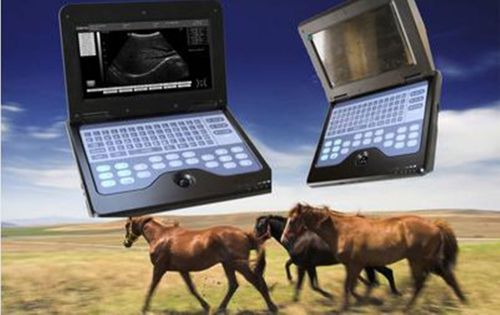 New Veterinary Vet Use Portable B-Ultrasound Scanner with 7.5MHZ rectal probe