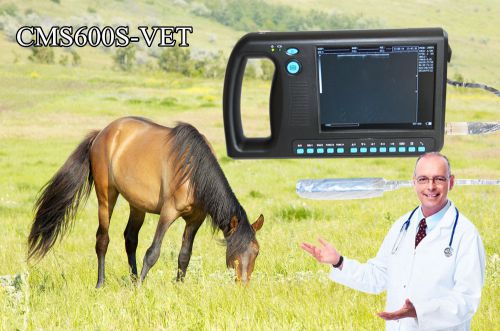 Promotional new portable digital veterinary ultrasound scanner cms600s w rectal for sale