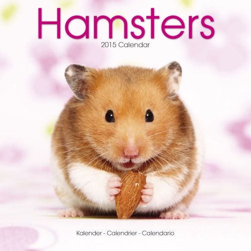 Hamsters 2015 calendar for sale