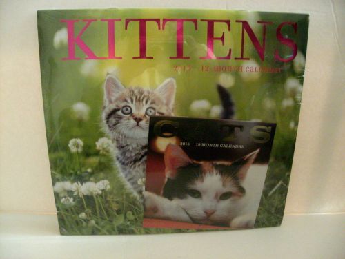 2015 Kittens 12-Month Wall Calendar-11&#034; x 12&#034;-Brand New in Package!!