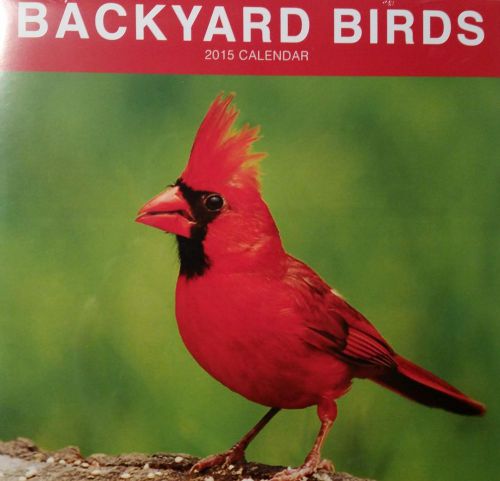 2015 BACKYARD BIRDS Wall Calendar NEW 11x11 Robin Hummingbird Woodpecker