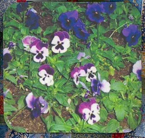 PANSY FLOWER Heavy Rubber Backed Mousepad #0780