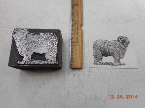 Letterpress Printing Printers Block, Woolly Ram Sheep, Side view