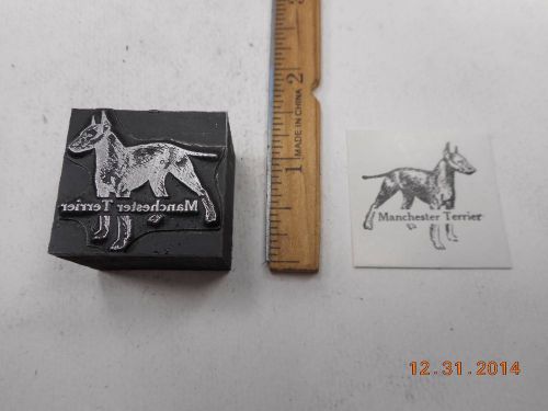 Letterpress Printing Printers Block, Manchester Terrier Dog