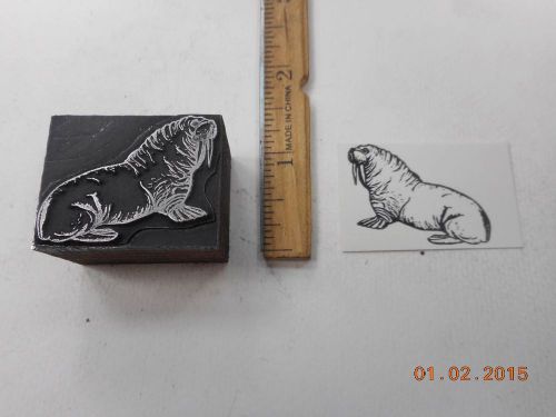 Letterpress Printing Printers Block, Walrus Marine Mammal
