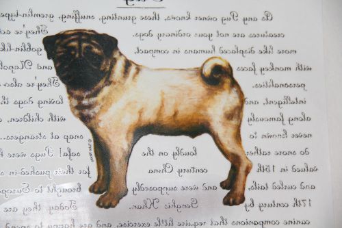 Package of 100 Full Color Heat Transfers Pug New in Package