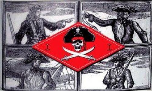 Pirate Captains Flag 3x 5&#039; Indoor Outdoor Banner