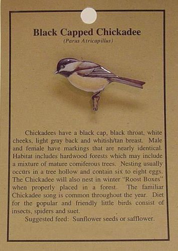 BLACK CAPPED CHICKADEE  BIRD HAT PIN LAPEL PINS -FREE U.S. SHIP