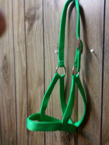 Yearling (Cow) Halters USA Made All Metal Hardware