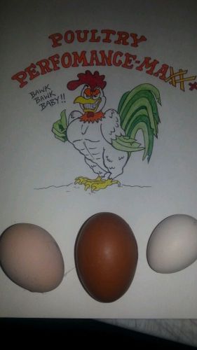 4 Lbs Poultry Performance Max + Chicken Duck Turkey Hatching Eggs High Protien