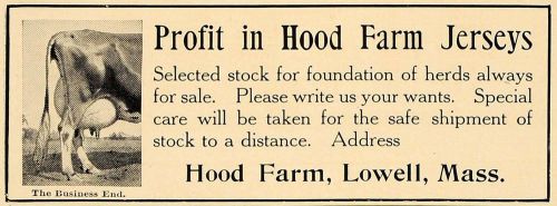 1907 Ad Hood Farm Jersey Cows Lowell Massachusetts - ORIGINAL ADVERTISING CL4
