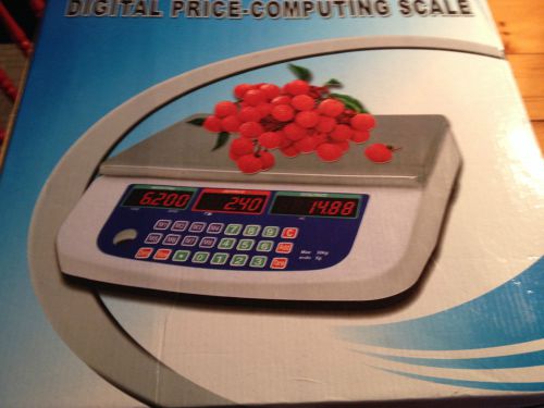 Digital Scale Price Computing 60 LB.  Cable &amp; Battery Powered!