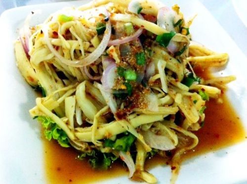 Thai Food DIY Recipe Dish Asian Cuisine Bamboo Shoot Salad Cent FREE Shipping