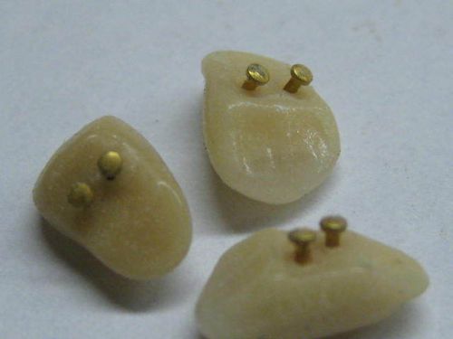3  Porcelain Teeth with GOLD PINS replacement partial hobby craft RECOVERY 14K