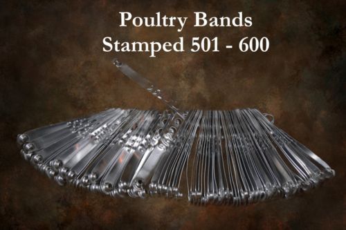 Numbered Aluminum Poultry Leg Bands (501-600)