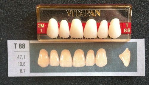 Vitapan Denture Teeth    T88    2M1