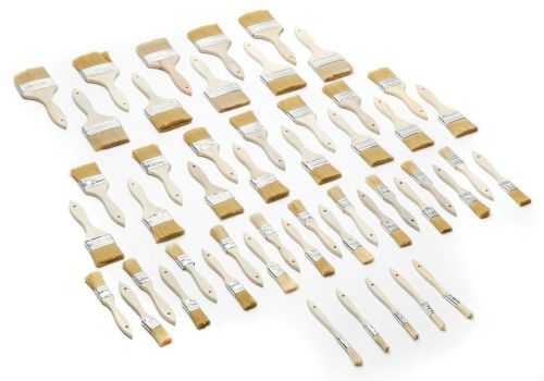 Woodstock Paint Brush Set Stains Cleaning 50-Piece wood Art Wall Color Tint NEW