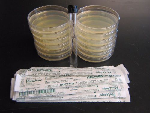 1-10ml tube Sterile Saline 10 Nutrient Agar Plates and 10 Sterile Swabs