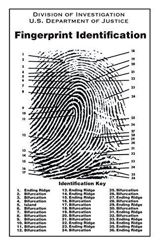 Fingerprint Chart