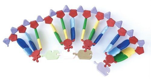 Edvotek Inc Edvotek 1513 RNA Protein Synthesis Kit