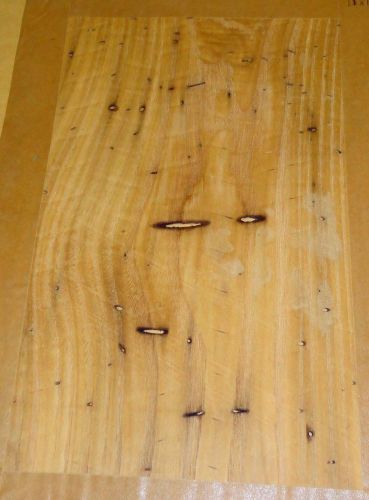 Wormy Chestnut wood veneer 11&#034; x 15&#034; raw no backing 1/32&#034; thickness &#034;A&#034; grade