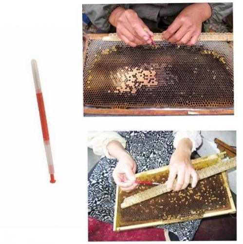 Beekeeping Tools Beekeepers?Grafting?Tools Retractable Type Beekeeper
