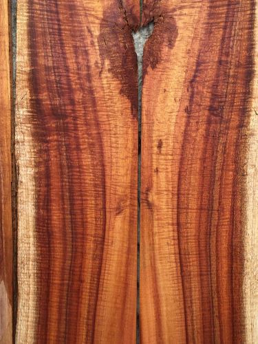 Curly Koa From Hawaii Instrument Grade Cut Offs 8 Boards 27-34&#034;x5-7x1/8&#034;