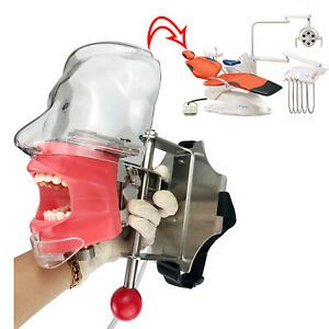 Dental Simulator Manikin Phantom Resin Head Training Model Headrest Fix on Chair