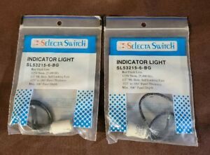 2 SELECTA SL53215-6-BG Red Indicator Lights 125V Neon Flush Lens