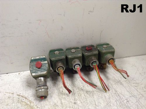 Lot of 5 ASCO Red Hat Brass 2- way Solenoid Valves 8210D2 1/4&#034; 24VDC 8262G212